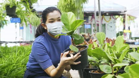 Eine-Maskierte-Asiatische-Frau-Hebt-Eine-Geigenfeigenpflanze-Auf,-Betrachtet-Sie-Und-Untersucht-Sie-In-Einer-Baumschule