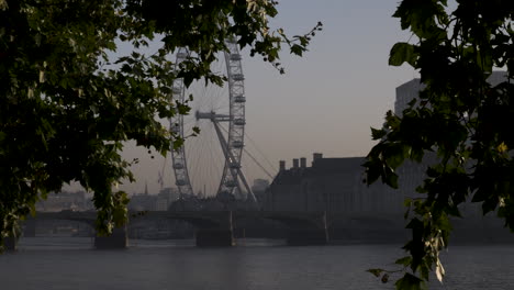 London-Eye-Und-Brücke-Durch-Bäume-Während-Londoner-Morgensonnenaufgangsdunst-Gesehen