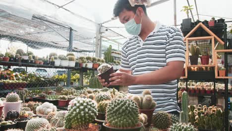 A-masked-man-holds-a-potted-cactus-and-examines-it-with-the-sunlight-behind-him-in-a-greenhouse-nursery-in-slow-motion