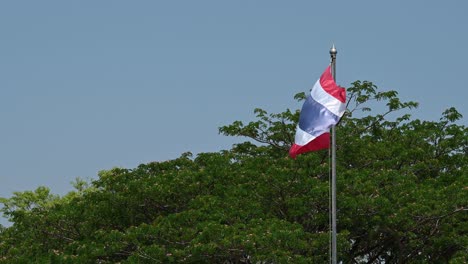 A-short-clip-of-a-Thai-Flag-flying-during-a-windy-sunny-day-against-a-tree-and-blue-sky,-perfect-to-add-into-school-or-institutional-presentations