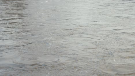 River-in-full-flow-during-Winter-rain-4K