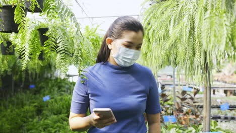 A-masked-woman-holding-a-mobile-phone-walks-along-an-aisle-of-plants-at-a-greenhouse-nursery-looking-at-the-plants