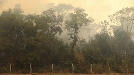 El-Espeso-Humo-Acre-De-Los-Incendios-Forestales-Impregna-El-Cielo-En-El-Pantanal-Brasileño