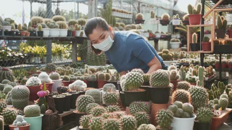 A-masked-Asian-woman-examines-the-cacti-on-a-table-in-a-plant-nursery-and-picks-up-one-pot