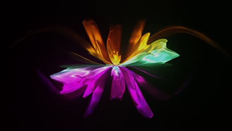 Holographic-flower