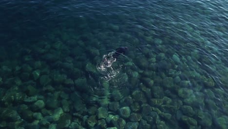 Person-Schwimmt-Und-Schnorchelt-Im-Klaren-Wasser-Mit-Felsigem-Meeresboden-In-Madalena-Do-Mar,-Insel-Madeira,-Portugal