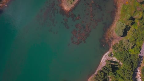 Vertikale-4K-Luftaufnahmen-Eines-Blauen-Sees-In-Einer-Grünen-Natürlichen-Umgebung-In-Den-Spanischen-Pyrenäen