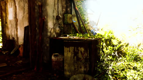 ruined-abandoned-overgrown-by-plants-interior