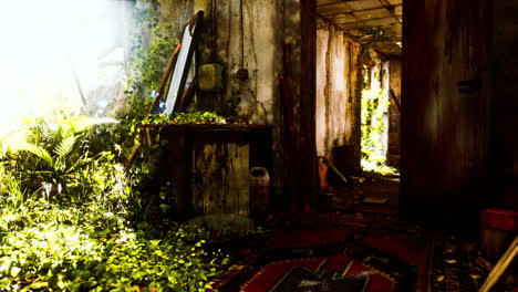 Arruinado-Abandonado-Cubierto-Por-Plantas-Interiores