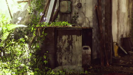 ruined-abandoned-overgrown-by-plants-interior