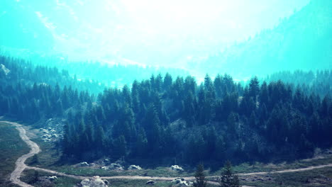 Vista-Superior-Aérea-De-Los-árboles-Verdes-De-Verano-En-El-Bosque-En-Los-Alpes-Suizos