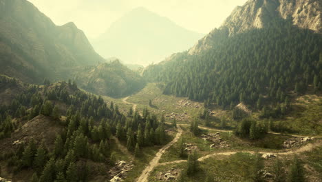 Winding-road-in-the-mountains-with-pine-forest