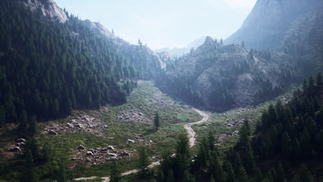 Luftaufnahme-Von-Sommergrünen-Bäumen-Im-Wald-In-Den-Schweizer-Alpen