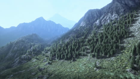 Alpes-Suizos-Con-Pradera-Alpina-Verde-En-Una-Ladera-Y-Rodeada-De-Bosques