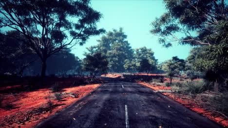 Clean-rural-Road-with-trees