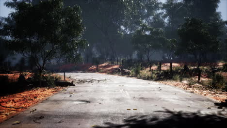 Clean-rural-Road-with-trees