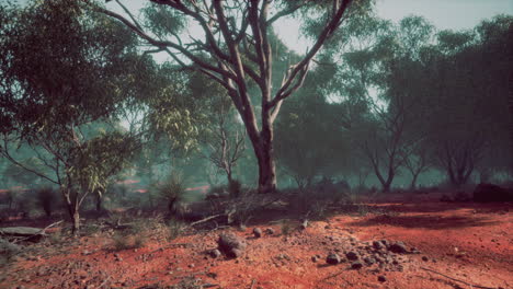 Kimberley-region-of-Western-Australia