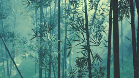 Frische-Natur-Und-Grüner-Tropischer-Bambuswald