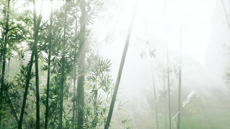 Tropische-Dschungel-Südostasiens