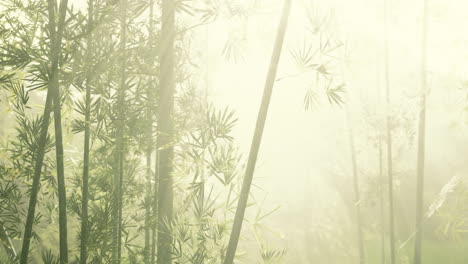 Tropische-Dschungel-Südostasiens