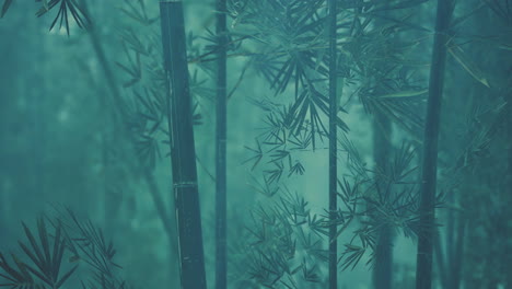 Green-bamboo-in-the-fog-with-stems-and-leaves
