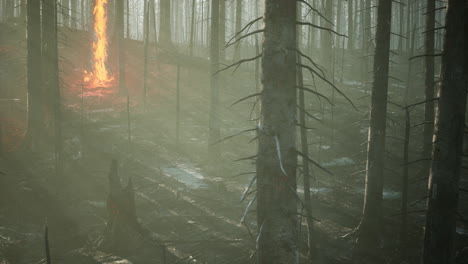 Waldbrand-Und-Umgestürzter-Baum-Werden-Mit-Viel-Rauch-Bis-Auf-Die-Grundmauern-Niedergebrannt