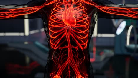 science-anatomy-scan-of-human-Blood-Vessels
