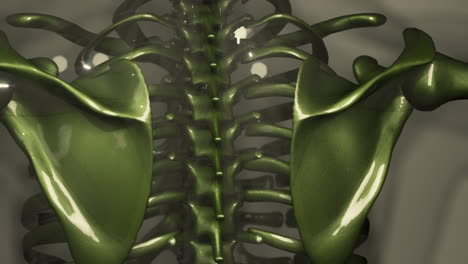 Animación-Médica-Renderizada-En-3D-De-Huesos-Humanos