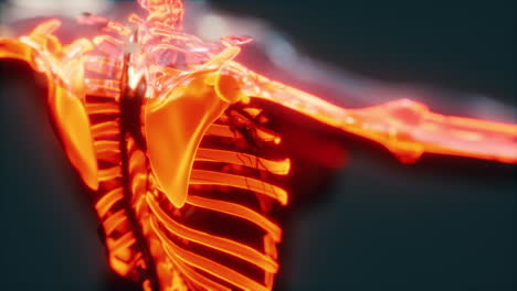 X-ray-full-body-of-skeleton-in-brightness-glow