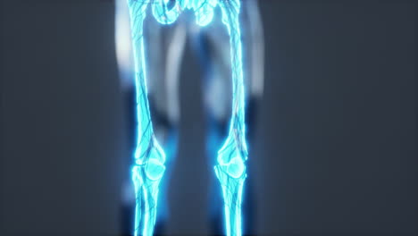 Röntgen-Ganzkörper-Des-Skeletts-Im-Hellen-Glanz