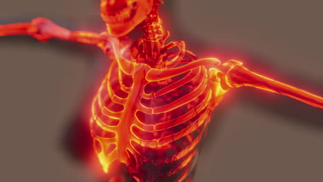 glow-skeletal-bones-of-human