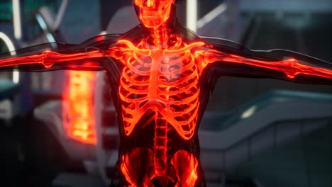 Examen-De-Escaneo-De-Huesos-De-Esqueleto-Humano-En-Laboratorio