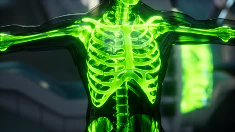 human-skeleton-bones-scan-exam-in-lab
