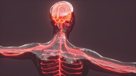 Menschliches-Kopfschmerzkonzept,-Glühendes-Röntgengehirn