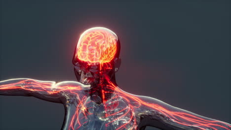 Menschliches-Kopfschmerzkonzept,-Glühendes-Röntgengehirn