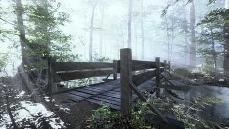 Hängende-Holzbrücke-über-Den-Fluss-Zum-Nebligen,-Geheimnisvollen-Wald
