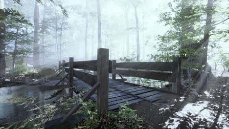 Holzstufen-Im-Wald-Verschwanden-Im-Dichten-Nebel