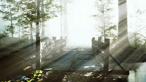 Holzbrücke-Im-Wald-Im-Nebel