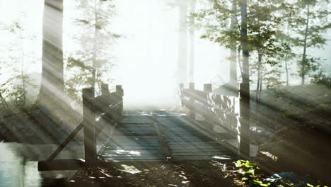 mystical-old-wooden-bridge-in-the-fog