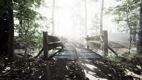 Suspended-wooden-bridge-crossing-the-river-to-foggy-mysterious-forest