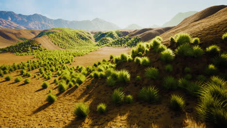 Wüstenlandschaft-Gobi-In-Der-Mongolei