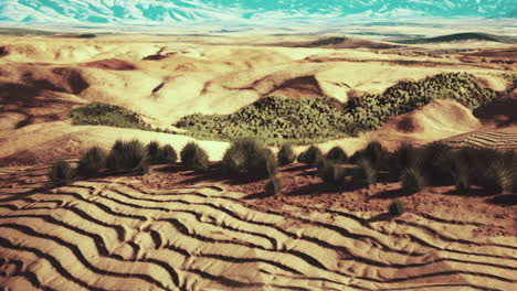 desert-landscape-in-Crater-National-park