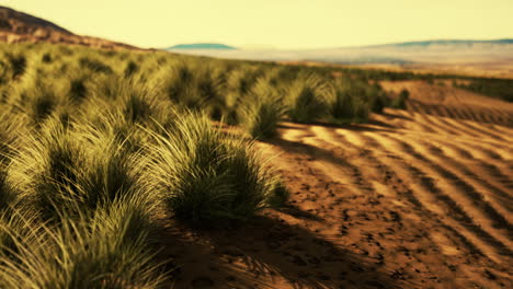 Desierto-Pedregoso-En-El-Interior-De-Australia