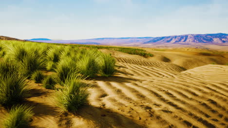 Beautiful-yellow-orange-sand-dune-in-desert-in-middle-Asia