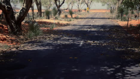 Outback-Straße-Mit-Trockenem-Gras-Und-Bäumen