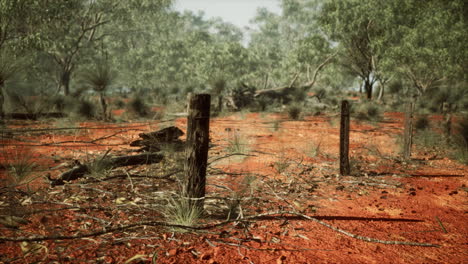 Dingoe-fence-in-the-Australian-Outback