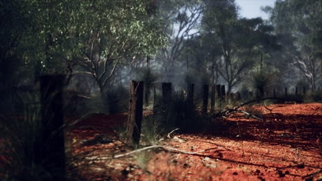 Dingoe-fence-in-the-Australian-Outback