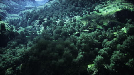Luftwaldlandschaft-Europäische-Wälder