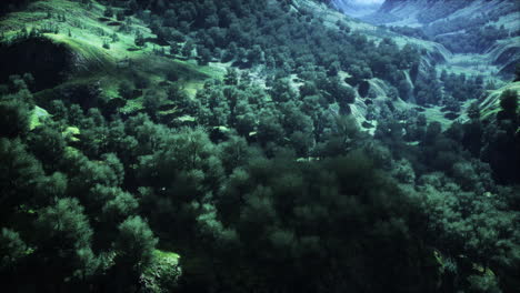 Aufnahme-Eines-Baches-Inmitten-Grüner-Wälder,-Umgeben-Von-Hügeln