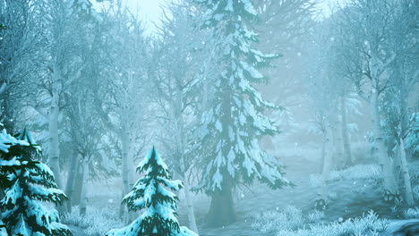 winter-storm-in-a-forest-in-winter